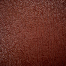 Load image into Gallery viewer, Koba