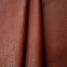 Load image into Gallery viewer, Koba