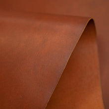 Load image into Gallery viewer, Los Cabos