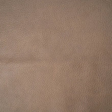 Load image into Gallery viewer, Harness