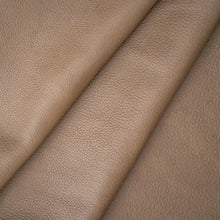 Load image into Gallery viewer, Harness