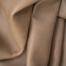 Load image into Gallery viewer, Harness