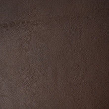 Load image into Gallery viewer, Harness