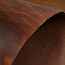 Load image into Gallery viewer, Old Harness