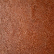 Load image into Gallery viewer, Harness