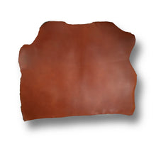 Load image into Gallery viewer, Los Cabos